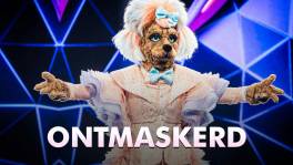 ONTMASKERD: Wie is Labradoodle echt?