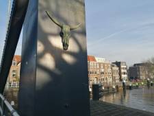 Waar is nou toch die koeienkop? Het kunstwerk op de Koepoortbrug is ineens spoorloos verdwenen