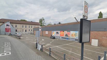 Delhaize Hln