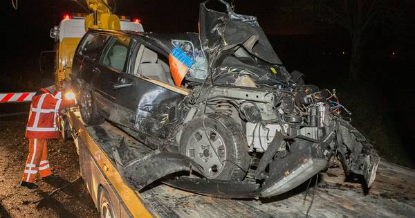 Man dwaalt rond na autocrash tegen boom | Geldermalsen - De Gelderlander