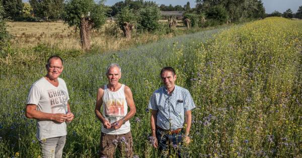 Broers Vinken uit Someren in actie voor behoud van bijen
