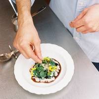 Michelin 2026: 5 nieuwe sterrenrestaurants doorgelicht door onze recensenten