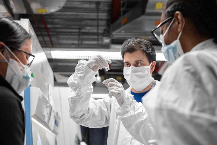 Laboranten van de het Amerikaanse biotechbedrijf Mirimus kijken naar covid-19-samples van een herstelde coronapatiënt.   Beeld Misha Friedman / Getty