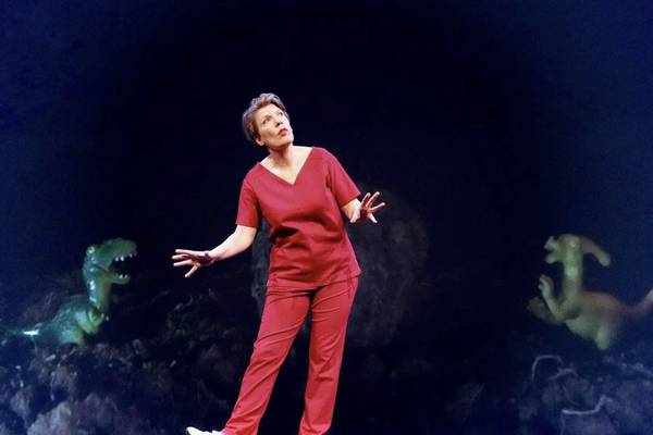 Paulien Cornelisse: Aanstalten