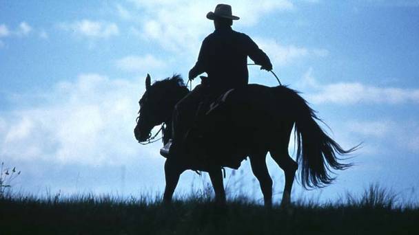 The Horse Whisperer