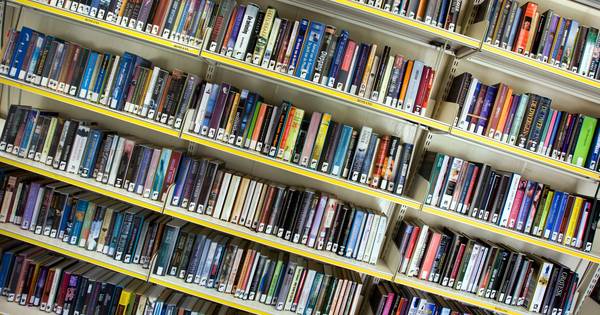 Gemeente Dalfsen maakt bibliothekenfusie moeilijker | Dalfsen - De Stentor