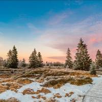 Zelfs zonder sneeuw blijven we sneeuwlandschappen op kerstkaarten zetten. Dit is waarom