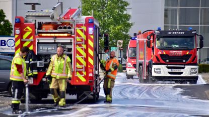 De kreuners waregem