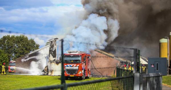 500 varkens omgekomen bij grote brand in stal in Asten.