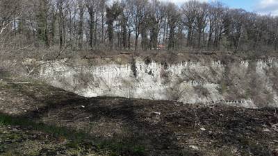 Oehoe zit niet meer op nest in Winterswijkse groeve