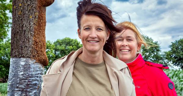 Bewoners Dorstseweg wachten ruim twee maanden op wegzuigen van vervelende jeukrups - BN DeStem