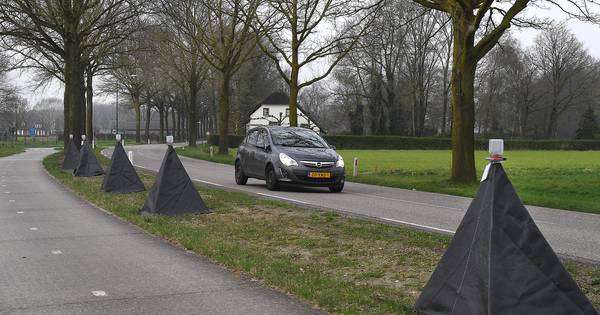 Sint Anthonis als proefgebied: universiteit onderzoekt bijen