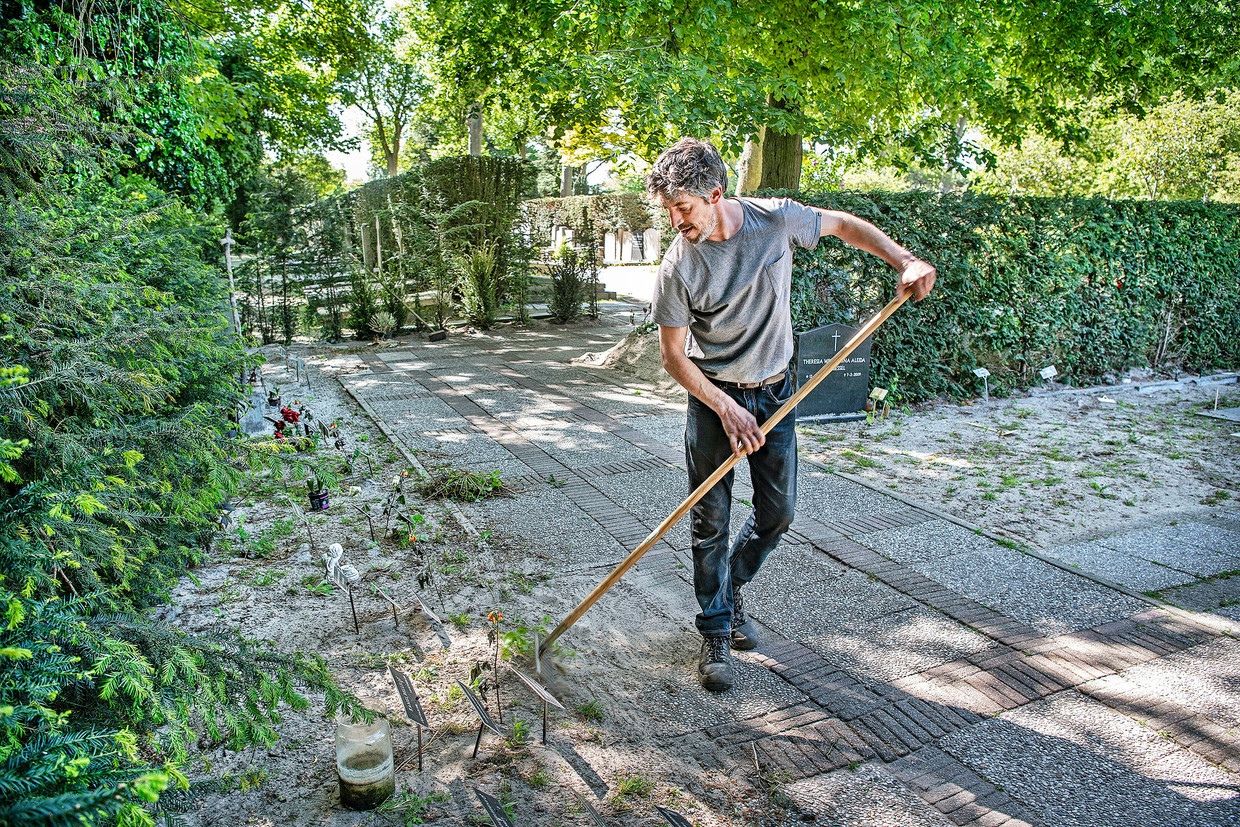 Een hovenier van de begraafplaats St. Barbara in Amsterdam schoffelt tussen de graven van onbekende personen die de afgelopen jaren zijn begraven. Sommige graven hebben alsnog een naam gekregen door toepassing van dna-technieken. Beeld Guus Dubbelman / de Volkskrant