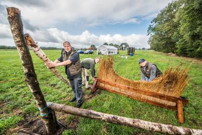 Dag van het Paard maakt nieuwe start in andere wei in Buurse