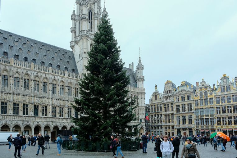 Kerstboom maakt intrede op Grote Markt Brussel In de buurt HLN