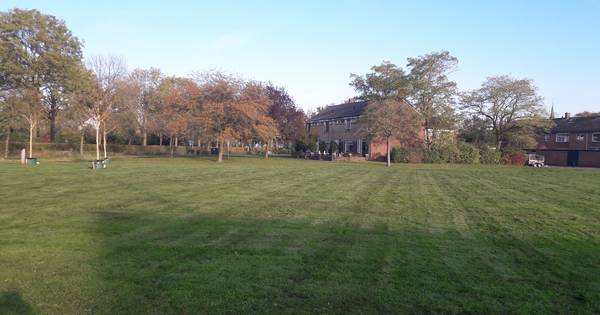 Op dit grasveld in Langeweg staan straks 20 woningen - BN DeStem
