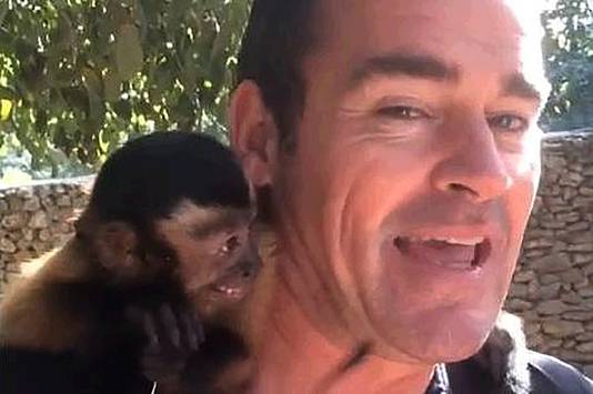 Dierenbescherming: Filmpje Jeroen met aap domme actie | Show | AD.nl