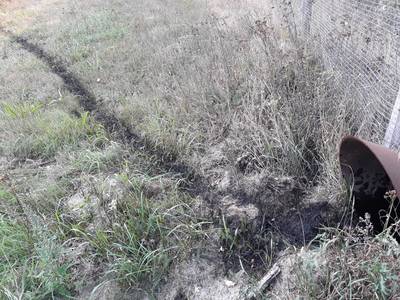 Dassentunnel gesaboteerd met olie: ‘Dit is van een ongelooflijke botheid’