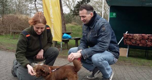 Staatsbosbeheer Westerschouwen: honden aan de lijn | Zeeland - BN DeStem