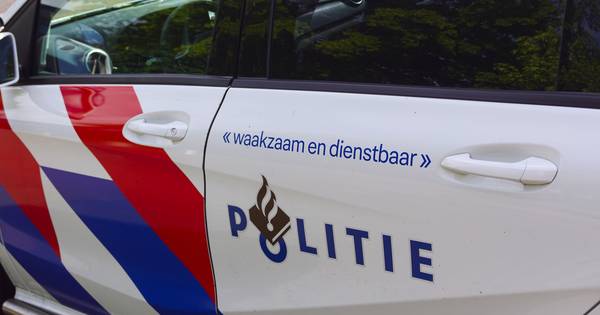 Hond overlijdt na aanrijding in Deventer, bestuurder rijdt door.