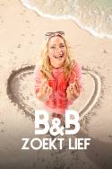 boxcover van B&B zoekt Lief