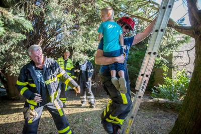 7-jarige jongen door brandweer uit hoge boom gehaald