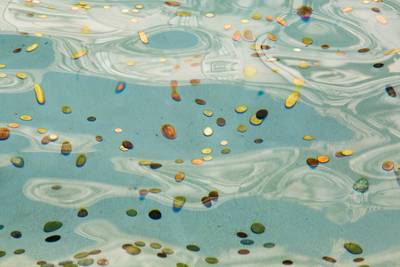 Nederlander betrapt op stelen uit fontein Rome: boete van 550 euro