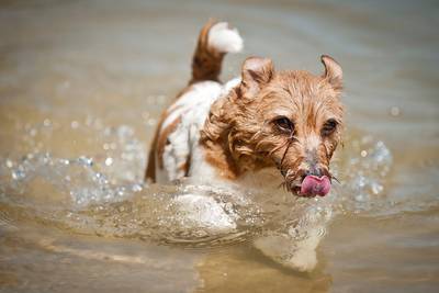 Wat te doen tegen de hitte: 10 do's and don’ts