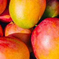 Dít zijn de gezondheidsvoordelen van mango