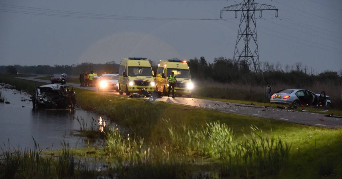 Vrouw (78) uit Werkendam overleden na botsing in Biesbosch ...