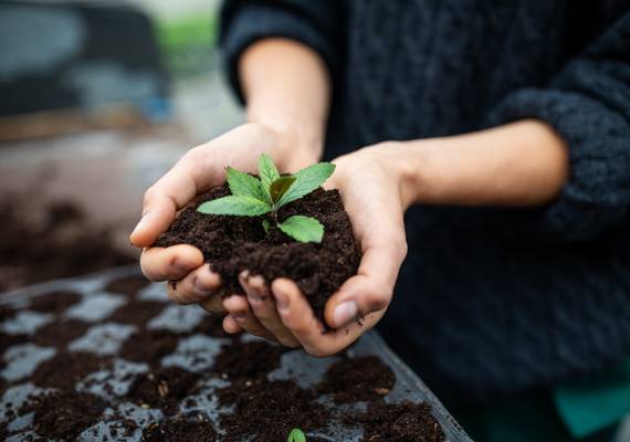 6 tips om bloembollen binnenshuis te planten