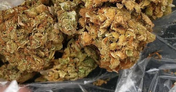 Terneuzenaar krijgt drie jaar cel voor dealen 100 kilo wiet - PZC