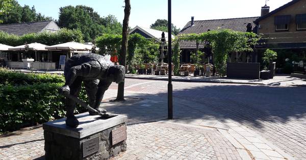 Mobiel netwerk in Haghorst blijft een probleem, VVD wil actie