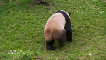 7. Tian Bao prend son indépendance