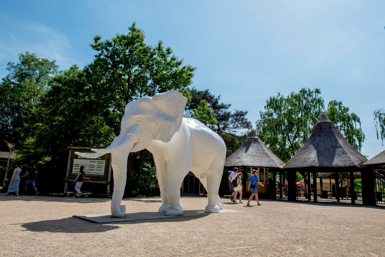 De hoogtepunten uit het 50-jarig bestaan van Safaripark ...