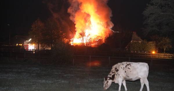 Grote uitslaande brand legt boerderijwoning in Heelweg in as