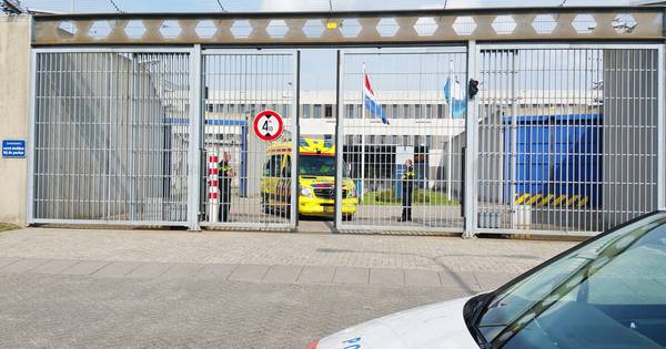 Gruwelijke details over gevangenisdood Zoetermeer | Groene Hart - AD.nl