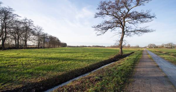 Bewoners overstuur door zonnepark in Zuna: 'Het tast de band tussen de noabers aan' - Tubantia