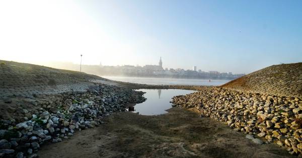 Waterpeil in rivieren gaat komende dagen fors stijgen