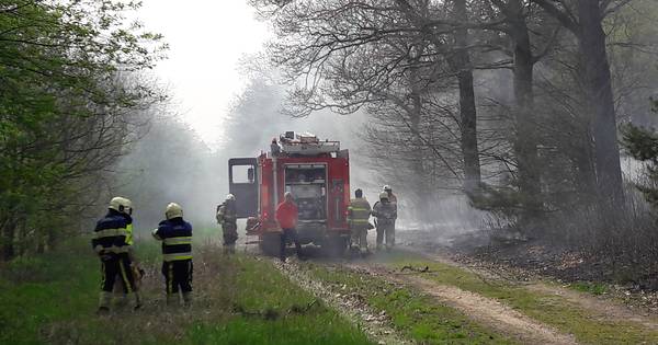 Wandelaars ontdekken brand in kurkdroge bossen bij landgoed Bronlaak in Oploo