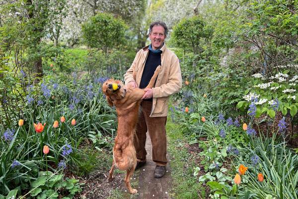 Gardeners' World Winter Specials