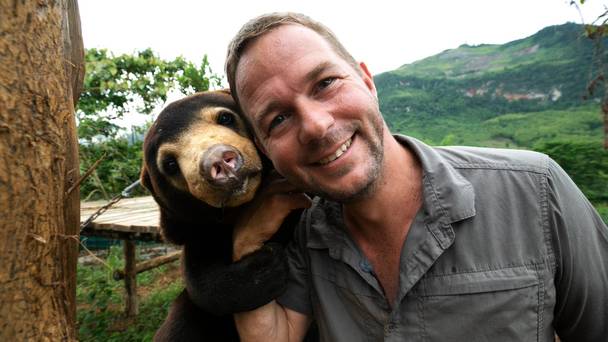 Bears about the house