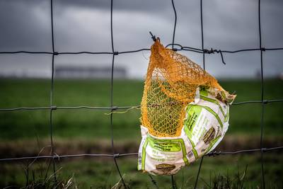 Rondzwervend afval: funest voor de natuur, maar kunstwerkjes op zich