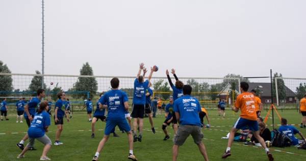 Grastoernokke op de velden bij Bruse Boys