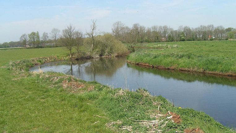 Oorzaak massale vissensterfte in de Aa boven water - Trouw