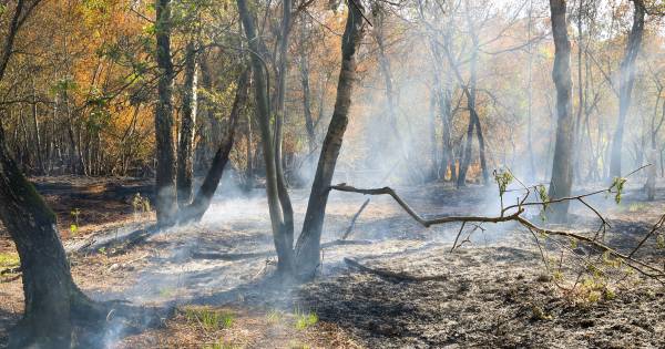 Peelbewoners zijn angstig na de grote brand: het is hier niet meer veilig.