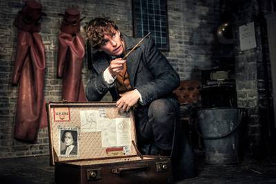 Fantastic Beasts II passeert miljoen bezoekers