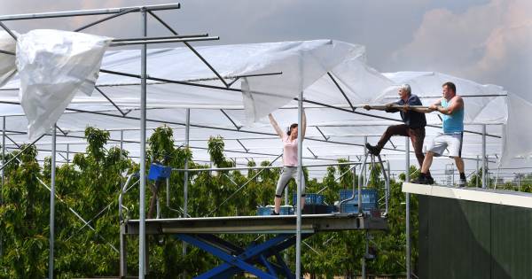 In één Liesselse straat, twee plannen voor het huisvesten van arbeidsmigranten - Eindhovens Dagblad