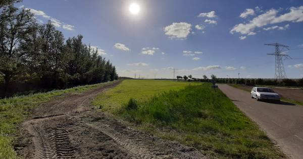 Engie zet dikke streep door mestvergister tussen kassen bij Rilland - BN DeStem