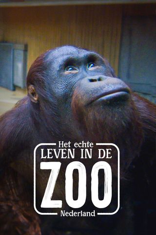 Het Echte Leven in de ZOO NL